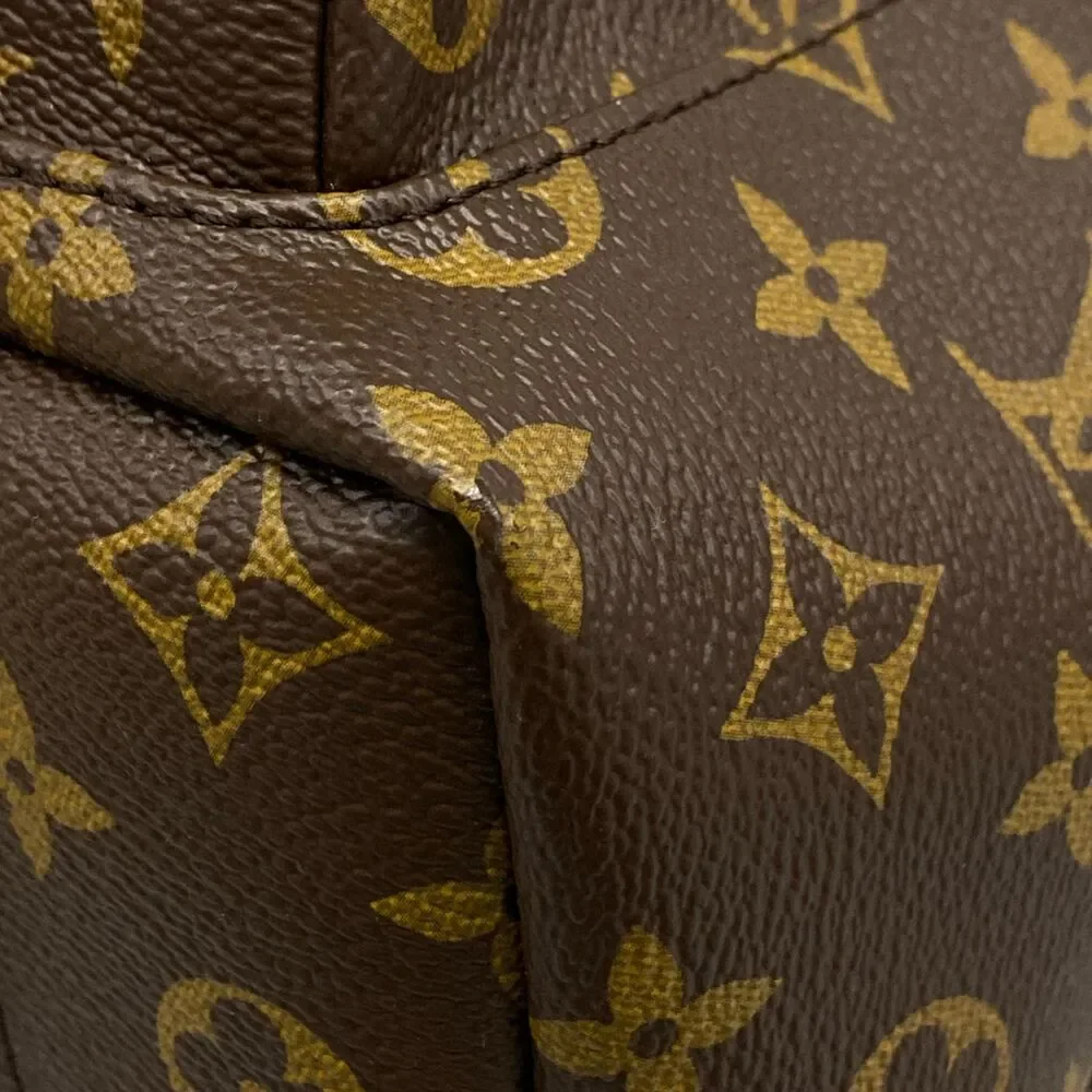 Louis Vuitton Palm Springs Backpack PM Monogram Backpack M41560